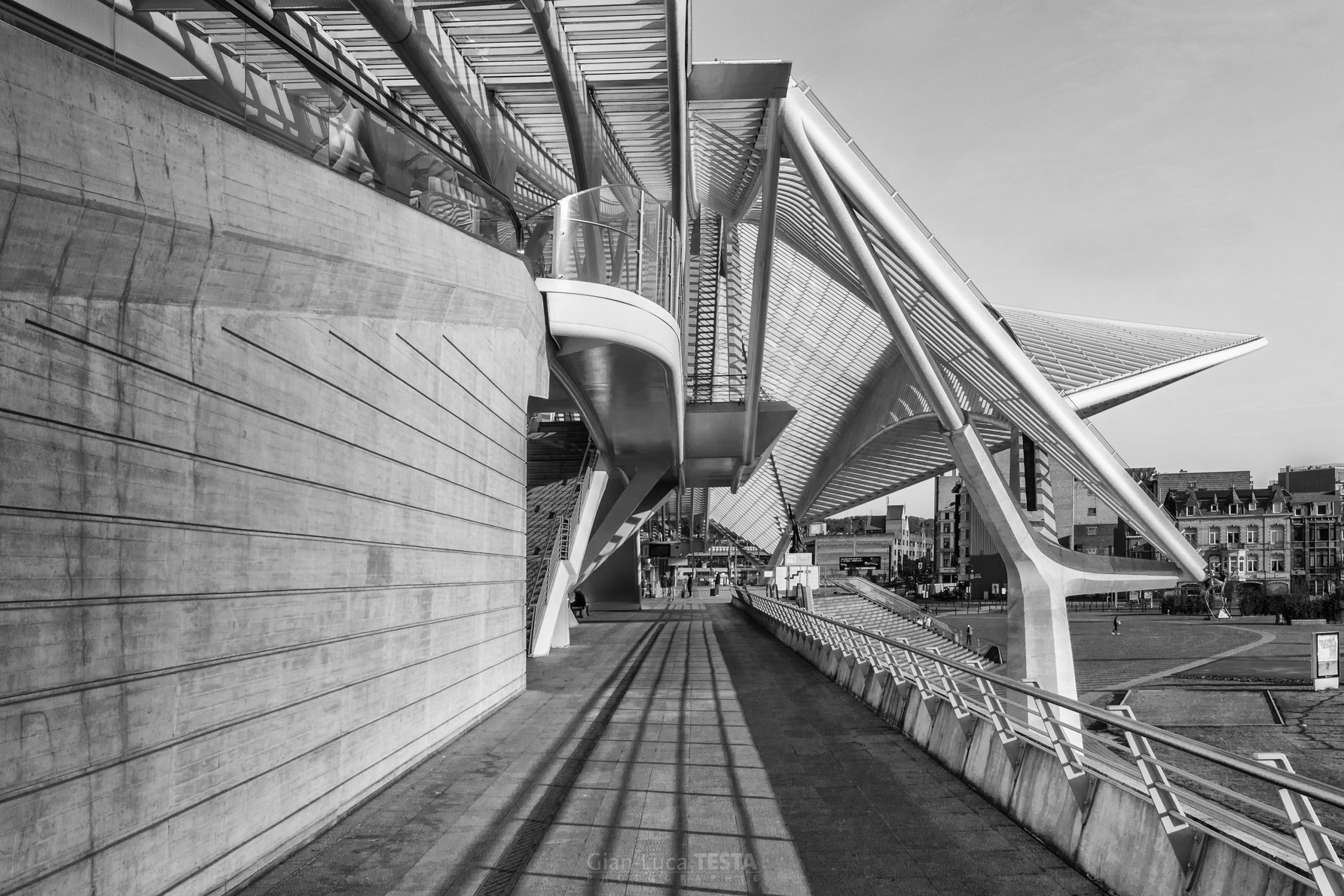 L'harmonie des lignes et des perspectives