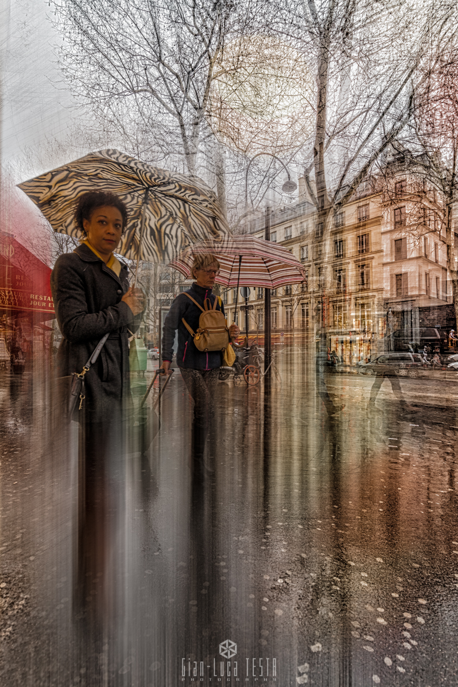 Découvrez la magie de la ville de l'amour avec cette photo de la promenade à Paris.
