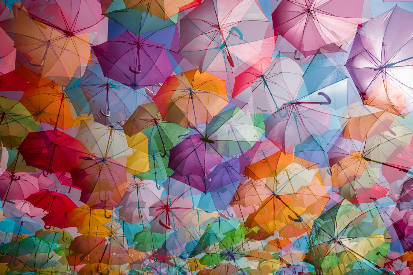 Les parapluies colorés de la rue Cours Mirabeau à Aix-en-Provence dansent sous le ciel gris.